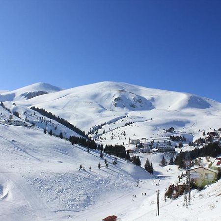 Snow Patrol Lodge Tetovo Eksteriør billede